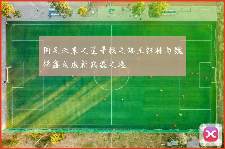 国足未来之星寻找之路王钰栋与魏祥鑫或成新武磊之选