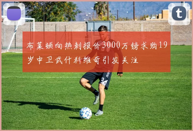布莱顿向热刺报价3000万镑求购19岁中卫武什科维奇引发关注